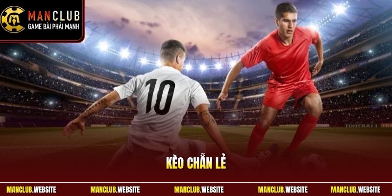 Kèo Chẵn Lẻ - Cách Đọc Kèo Chuẩn Cho Người Chơi Mới Manclub