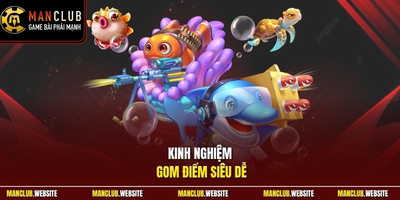 Kinh nghiệm gom điểm siêu dễ