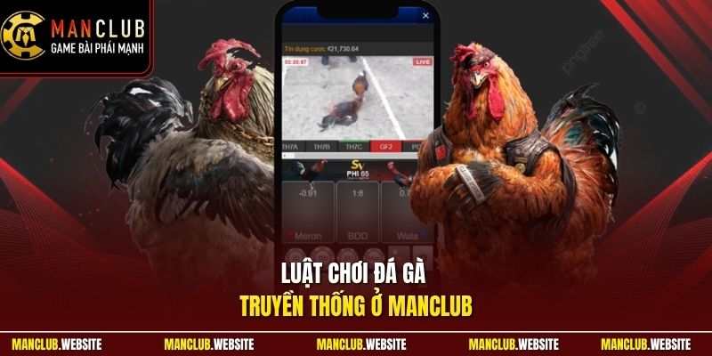 Luật chơi đá gà truyền thống ở Manclub