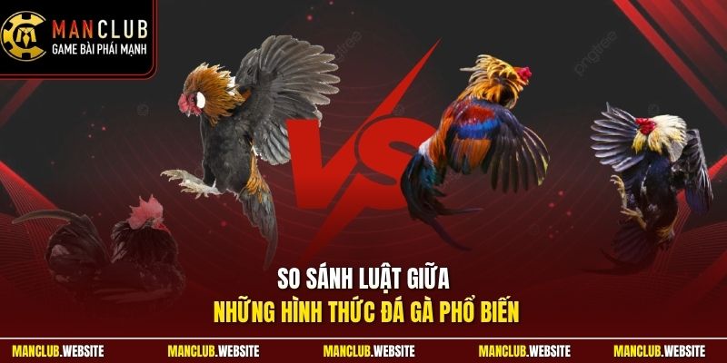 So sánh luật giữa những hình thức đá gà phổ biến