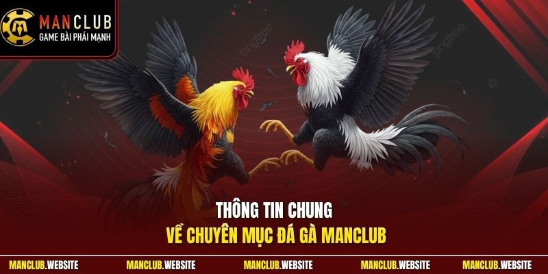Thông tin chung về chuyên mục đá gà Manclub 