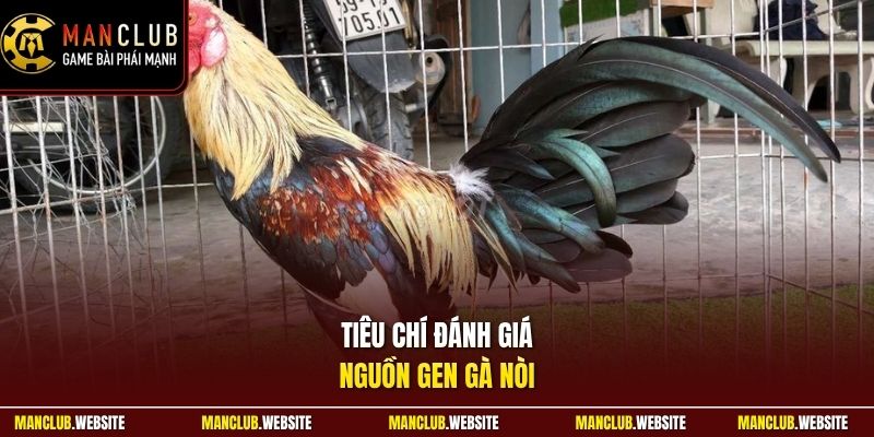 Tiêu chí đánh giá nguồn gen gà nòi